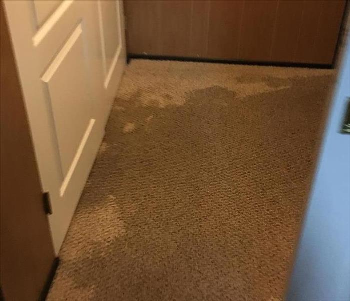 tan carpeting covered in water damage