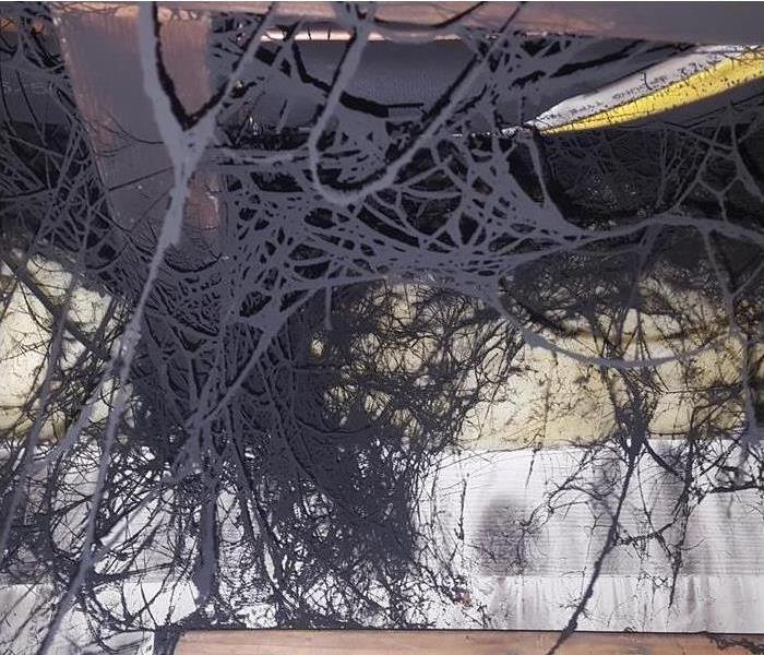 soot webs covering a homes walls and ceiling